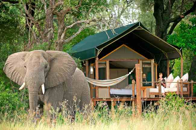 Luxus Zelt Camp in Afrika: Okavango Delta in Botswana